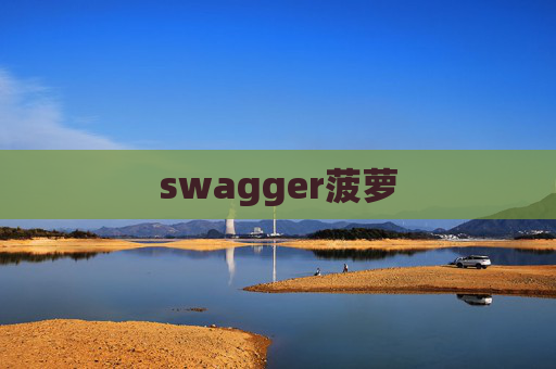 swagger菠萝 swagger菠萝